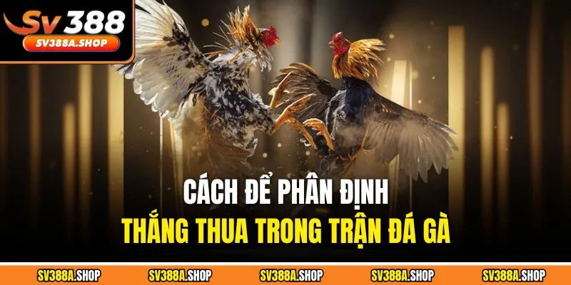 Cách để phân định thắng thua trong trận đá gà