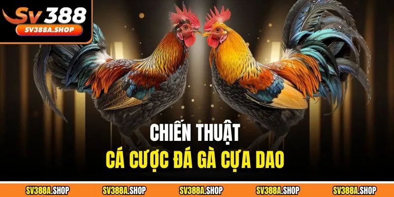 Chiến thuật cá cược đá gà cựa dao 