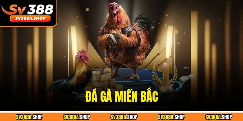 Đá Gà Miền Bắc - Top 3 Chiến Thuật Chinh Phục Trận Đấu 2025