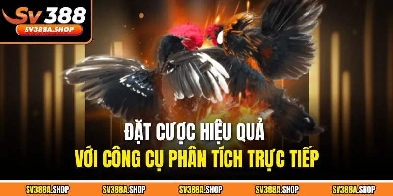 Đặt cược hiệu quả với công cụ phân tích trực tiếp