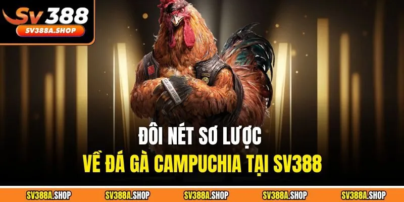 Đôi nét sơ lược về đá gà Campuchia tại SV388