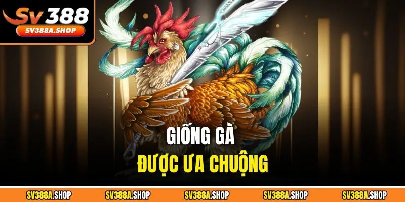 Giống gà được ưa chuộng