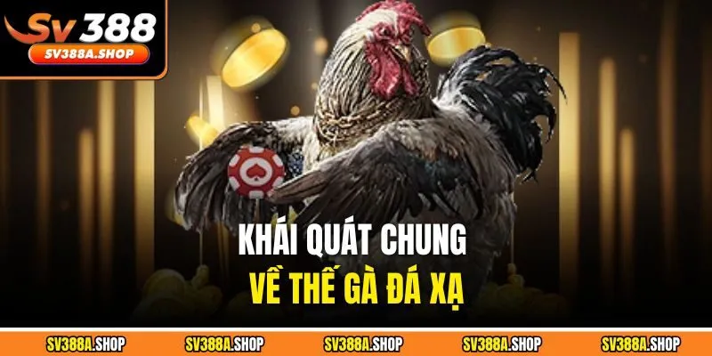 Khái quát chung về thế gà đá xạ