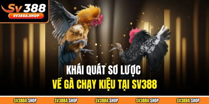 Khái quát sơ lược về gà chạy kiệu tại SV388