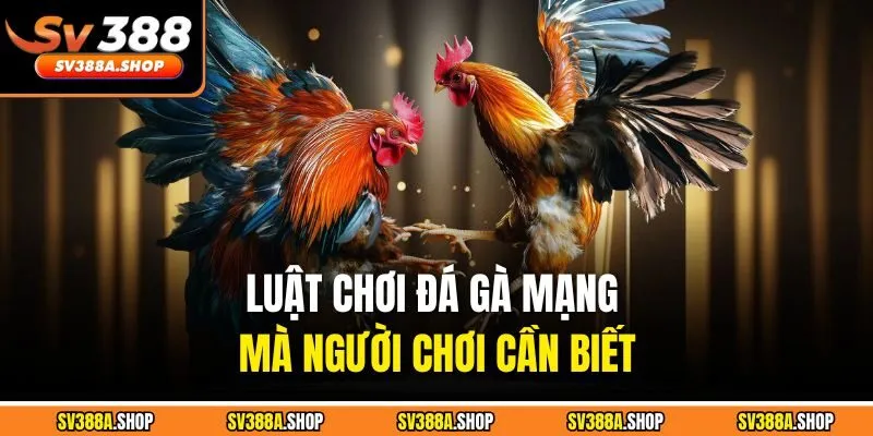 Luật chơi đá gà mạng mà người chơi cần biết