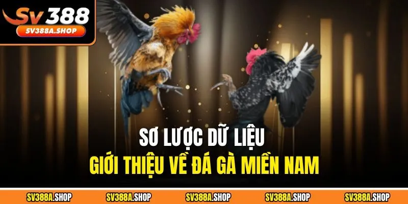 Sơ lược dữ liệu giới thiệu về đá gà miền Nam