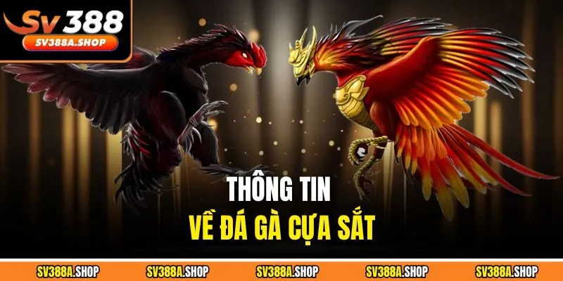 Thông tin về đá gà cựa sắt