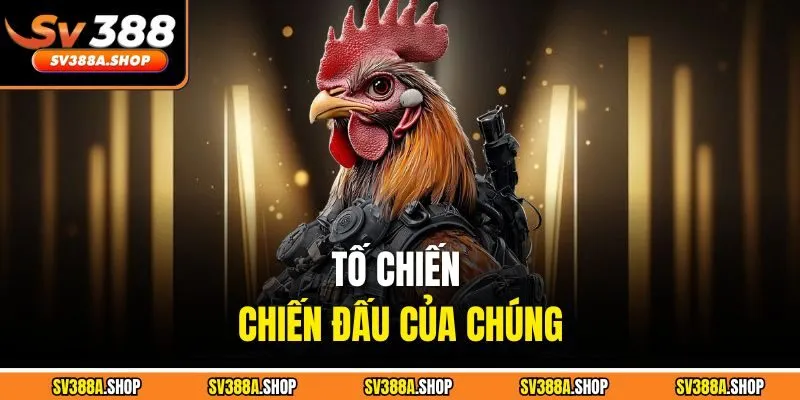 Tố chiến chiến đấu của chúng